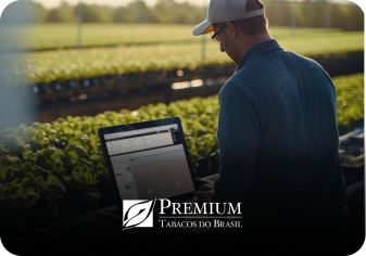 PREMIUM TABACOS DO BRASIL