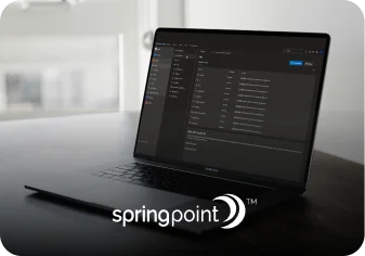 Internal Developer Platform para escalar a Spring Point mundialmente